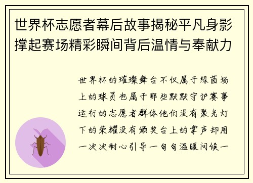 世界杯志愿者幕后故事揭秘平凡身影撑起赛场精彩瞬间背后温情与奉献力量